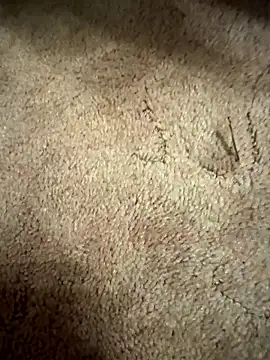 DerEinexx live sex cam