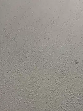 cariocasafada's cam snapshot