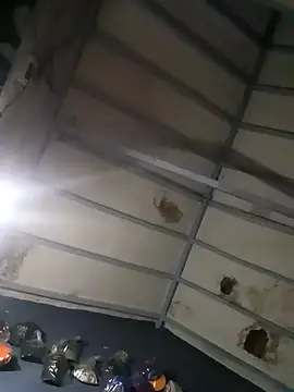 hairy_mannn live sex cam