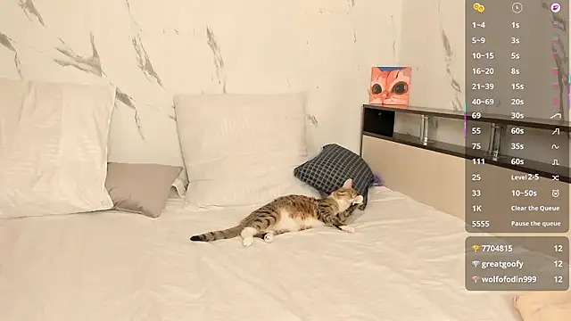 SophieRayne live sex cam