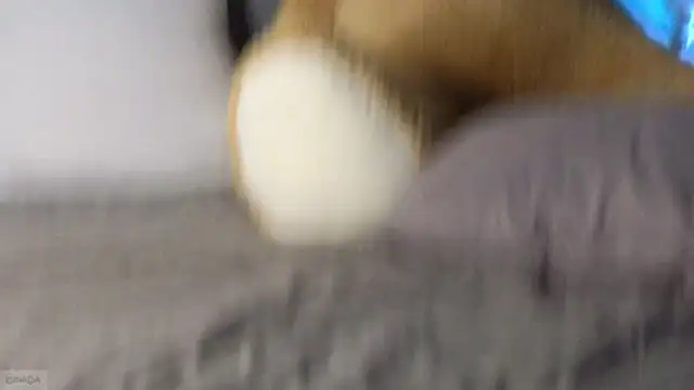 adele_armass's cam snapshot