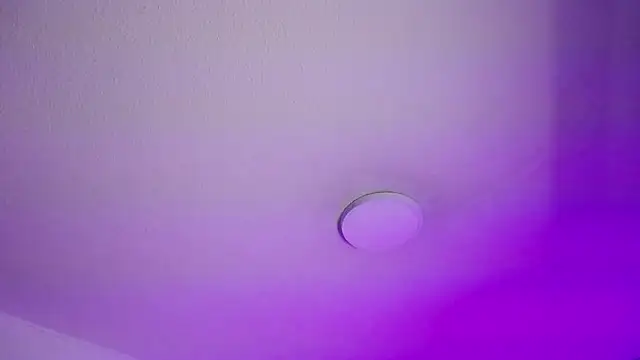 _Charlotte_Collins_ live sex cam