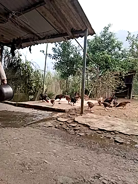 SexyQueen99's cam snapshot