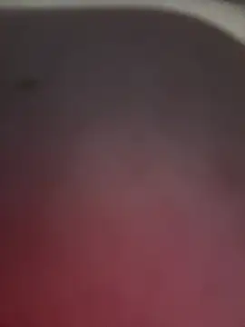 WhiteMeatsRican live sex cam