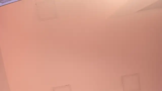 sofiesoft live sex cam