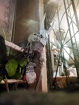 k_lebannon's cam snapshot