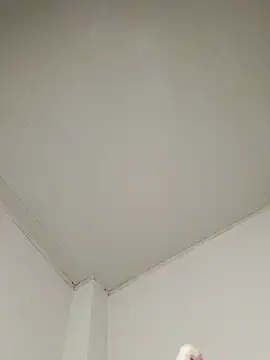 katthyasmitth live sex cam