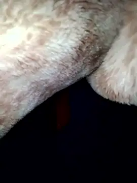 aman4404 live sex cam