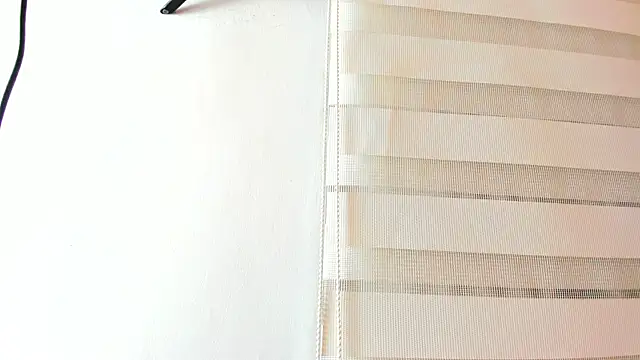 Arthur_howard's cam snapshot