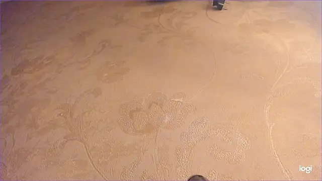 Diamond_D_ live sex cam