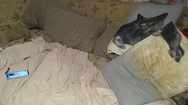 FancyLily live sex cam