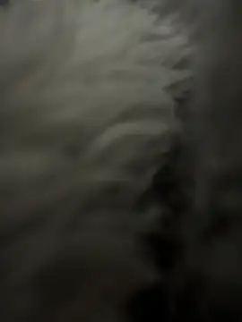 OohedSpectrum's cam snapshot