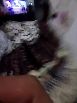 Santy_12y's cam snapshot