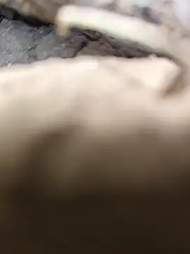 desi_alpha_boy's cam snapshot