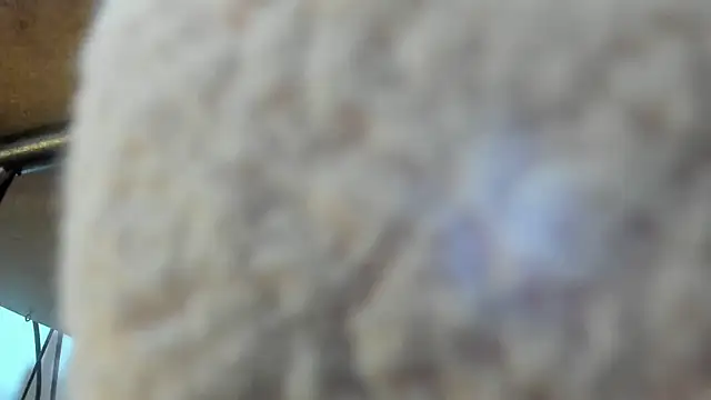 Mila_Leon live sex cam