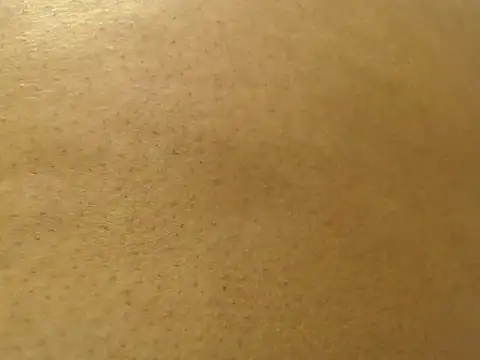 Fanehot44 live sex cam