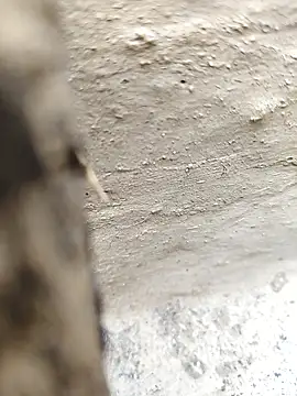 Co_punam's cam snapshot