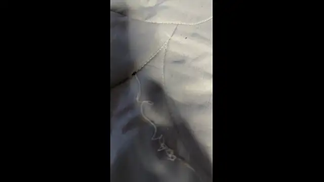 MateoBaer's cam snapshot