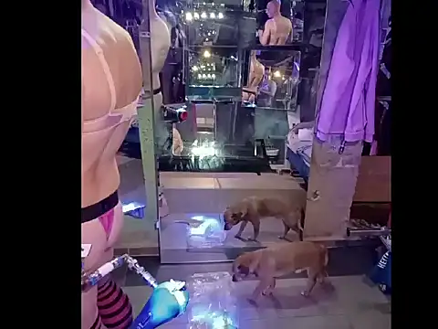 fetishboyzz live sex cam