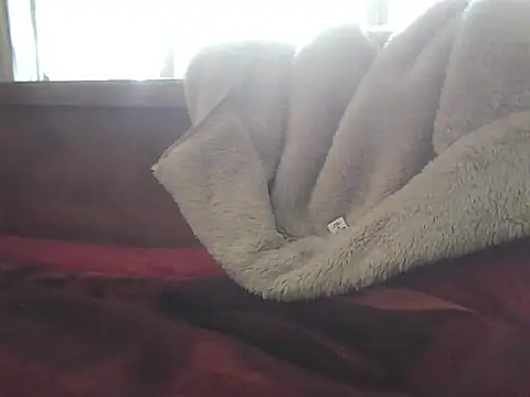 Nuttysub live sex cam