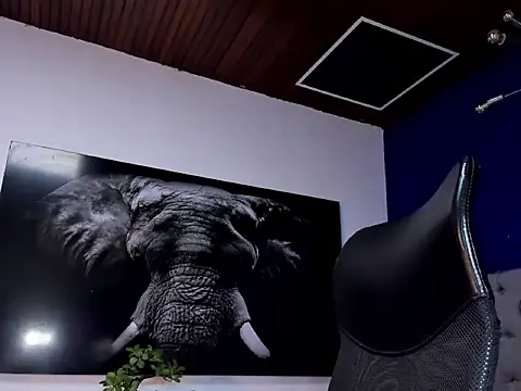 king_falconer's cam snapshot