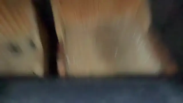 CBT-Sounding live sex cam