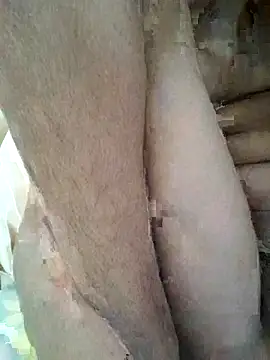 Hoty_132's cam snapshot