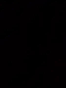 kitty_pi's cam snapshot