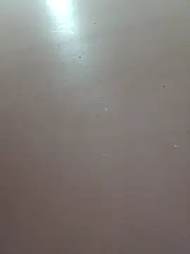 Lyly-68688's cam snapshot