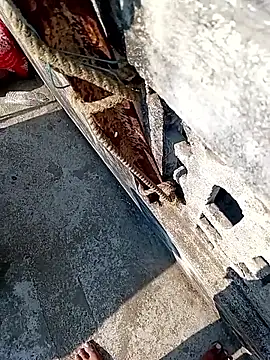 Horny-boyyy live sex cam