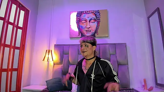 Heiden-Stiven's cam snapshot