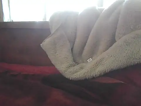 Nuttysub live sex cam