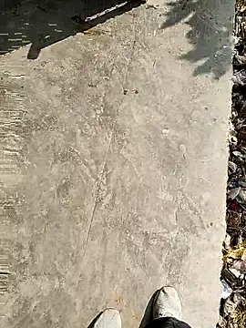 kripaul's cam snapshot