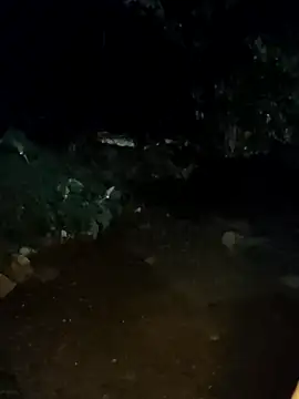 Axell-1997's cam snapshot