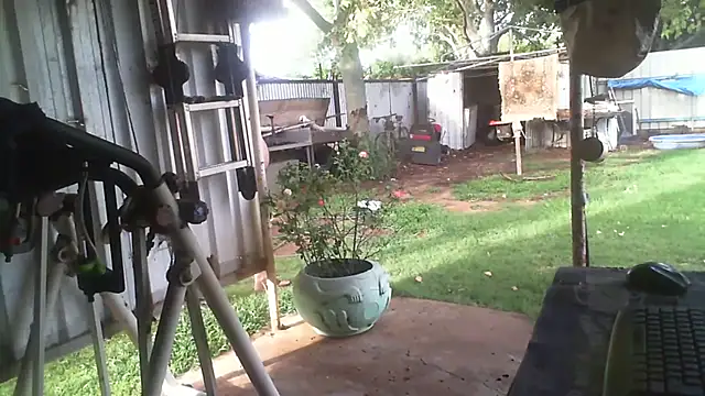 herbie010666 live sex cam