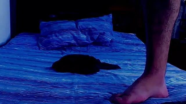 Bull_Xvi live sex cam