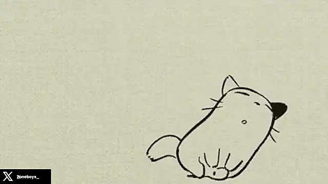 zoneboys live sex cam