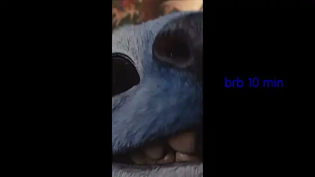 vinkitinkii's Stripchat show and profile