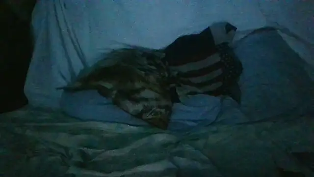 Ortiz3404 live sex cam