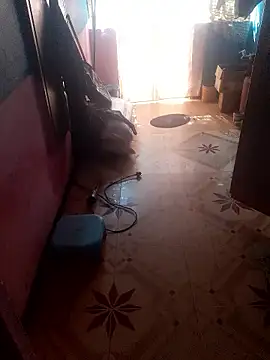 Rojatelugu89 live sex cam