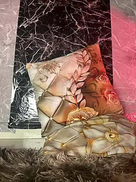 CamiBDSM's cam snapshot