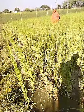 hornycouple20000 live sex cam