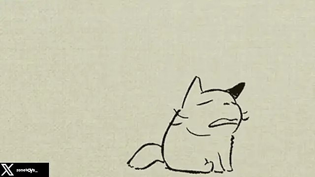 zoneboys live sex cam