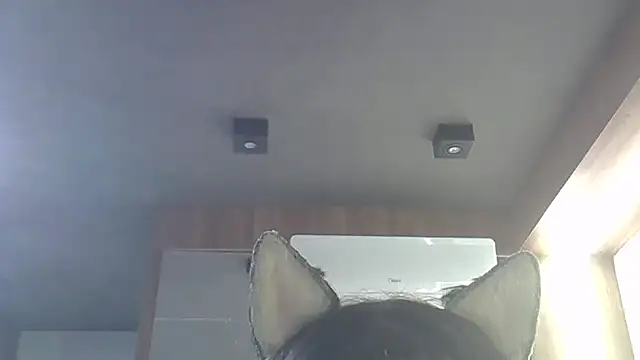 SkinnyKitten live sex cam