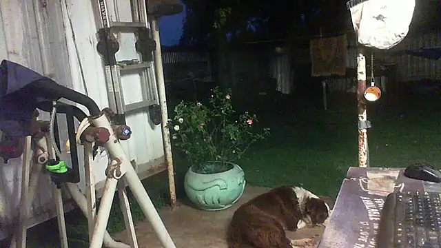 herbie010666's cam snapshot