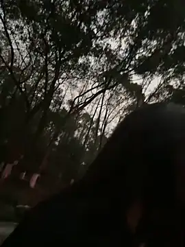 qingqing-ss live sex cam