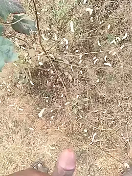 Hot_BoyDick-Telugu's cam snapshot