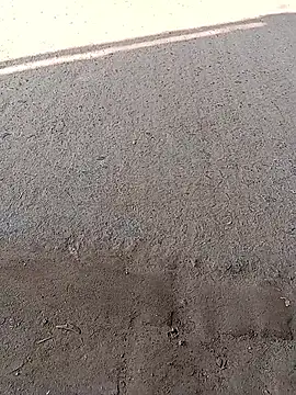 sexsexbo's cam snapshot