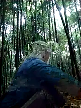 alycen's cam snapshot