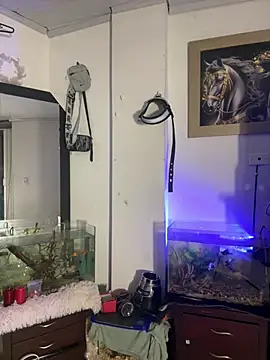 CRAZY-BOY99 live sex cam